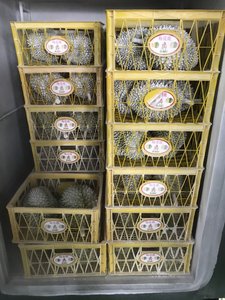 Durian biologique congelé de haute qualité Vietnam nouvelle culture goût sucré meilleur prix processus IQF pâte entière morceau carton en vrac disponible - Product Image 4