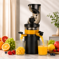 Commerciële slowjuicer voor fruit en groenten, hoge opbrengst sapcentrifuge voor thuiskeuken en straatverkopers