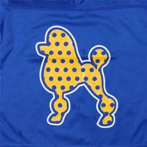 Maillot de football pour enfants SGR-Royal | 100% Polyester Sigma Gamma Rho Youth Jersey Boucliers et patchs de broderie | Vêtements de sororité - Product Image 5