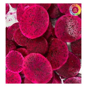 Dés Pitaya surgelés, cubes de fruits du dragon rouges et blancs surgelés, fruits du dragon congelés IQF pour boissons et recettes - Product Image 4