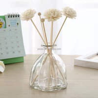 Diffuseur d'huiles essentielles à fleurs séchées pour aromathérapie, décoration intérieure, vase en verre - Élégance transfrontalière transparente