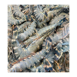 Crevettes tigrées entières surgelées à prix abordable, prêtes pour le commerce en gros avec une qualité constante - Product Image 2