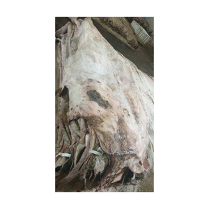 Da bò Muối ướt sống | da bò/sừng trâu - Product Image 3