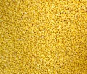 Original Organic White and Yellow <b>Millet</b> with Shell, High Export Quality <b>Millet</b>, Used for Gourmet Ingredients and Animal Feed - Product Image 6