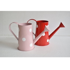 Regadera de jardín de nuevo diseño, olla de agua, botella de riego hecha a mano, lata de agua de metal para decoración del hogar y el jardín - Product Image 1