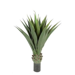 Annaflower Agave 110cm - Product Image 1