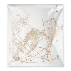 Biodegradable Heavy-Duty Large format <b>Sterile</b> Sample Bag, Tough Closure, leakproof and airtight, <b>Lab</b> Supplies_EDL41220E - Product Image 2