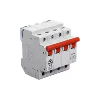 Disjoncteur HPL à quatre pôles 63A MCB Isolator RIFP63, disjoncteurs haute performance fabriqués en Inde