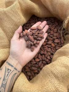 Wholesale Trading Available In Stock High-Quality Baking Chocolate Raw Materials Cocoa <b>Beans</b> From West Africa Origin For Sale - Product Image 4