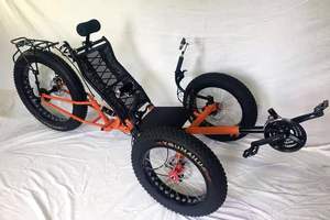 Nouveau tricycle à pédales inclinable à 3 roues et 9 vitesses avec pneus larges - Product Image 4