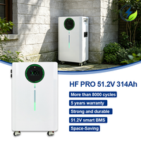 Batterie solaire LiFePO4 8000 cycles 16 kWh 314 Ah 51,2 V avec BMS intelligent CAN et protection IP54 pour systèmes solaires AL-MB512628