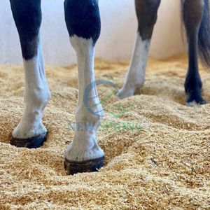 Virutas de Madera de Pino Premium de Vietnam - Cama Limpia para Aves de Corral y Ganado - Product Image 6