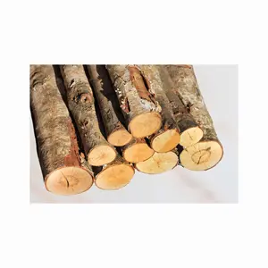 गर्म बिक्री वाले लकड़ी के लट्ठे, देवदार की लकड़ी के लट्ठे और लकड़ी की लकड़ी के लट्ठे बिक्री के लिए