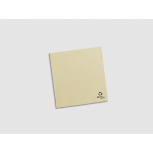 Tovaglioli Eco Nature 20x20cm, Morbidi e Asciutti, 1800 Pezzi, B2B - Product Image 1