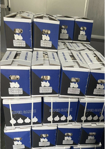กระเทียมเวียดนามสด Ajo Fresco Ail Frais กระเทียมขาวพรีเมียมแบบหัวเต็ม สำหรับผู้ซื้อระดับโลก - Product Image 5