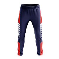 Conjunto de Camiseta y Pantalón de Cricket Transpirable con Logotipo Personalizado, Diseño de Alta Calidad, Uniforme Sublimado de Secado Rápido y Ligero