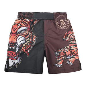 Shorts de combat MMA sur mesure, extensibles, respirants, à séchage rapide, avec logo imprimé, ajustement confortable, tissu en polyester - Product Image 6