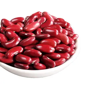 Pabrik langsung grosir kacang merah untuk dijual/bentuk panjang kacang merah Tersedia dengan harga terjangkau
