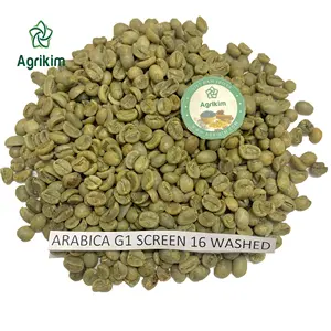 Granos de café verdes, fabricante fiable, venta al por mayor, 60kg, bolsa de yute, granos de café verde arábiga de origen vietnamita