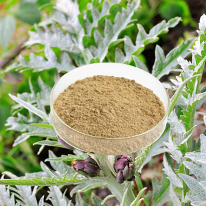 Suministro directo de fábrica Extracto de hoja de alcachofa salvaje Polvo 0.8% Ácido clorogénico Suplemento alimenticio saludable - Product Image 4