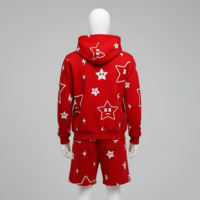 Conjunto de sudaderas con capucha y pantalones cortos con cremallera Logotipo personalizado Traje de sudor de dos piezas Todo sobre Puff Impresión Chándal Sudaderas con capucha y pantalones cortos Conjunto Hombres