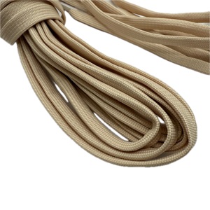 TC025 Eco-Friendly High Tenacity Flat Poly Draw Cord with Aglet for Shoes <b>Bags</b> & Garments (10mm Diameter) - Product Image 4