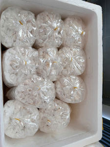 แป้งธรรมชาติบริสุทธิ์จากเวียดนาม - Product Image 2