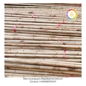 Postes de bambú rectos naturales de alta calidad Durable, ecológico, superficie lisa, resistente a plagas, uso decorativo - Product Image 4