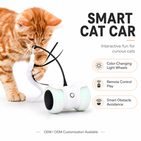 Juguete Interactivo para Gatos con Control Remoto, Coche RC con Ruedas LED, Evitación de Obstáculos, Recargable, Venta al por Mayor