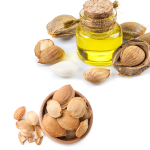 Grano de albaricoque | Utilizado en fórmulas naturales curativas y de belleza - Product Image 3