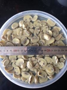 MUSHROM DE PAJA EN CONSERVAS 100% MUSHROM FRESCA PROVEEDOR DE VIETNAM CON PRECIO BARATO - Product Image 2