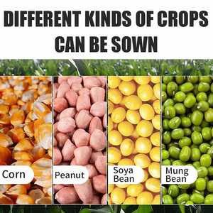 Maquinaria Agrícola, Sembradora <span class=keywords><strong>de</strong></span> Maíz, Sembradora <span class=keywords><strong>de</strong></span> Semillas <span class=keywords><strong>de</strong></span> <span class=keywords><strong>Sandía</strong></span>, Dispositivo <span class=keywords><strong>de</strong></span> Siembra Automatizado <span class=keywords><strong>para</strong></span> Agricultura - Product Image 3