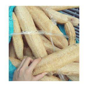 Loofah seca entera 2024 Malla de baño Esponja de lufa en forma de calabaza con calidad de grado - Product Image 1