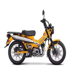 Pristine Brand New RIVIERA 2024 Trail CT125 Bike Cruiser <b>Motorcycle</b> 27mm front fork dual rear shocks available READY TO SHIP - Product Image 1