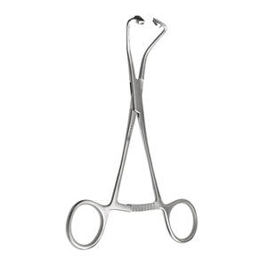 Pince médicale pour animaux pince Babcock 12 "pince réutilisable d'utilisation chirurgicale allemande en acier inoxydable pour la chirurgie vétérinaire - Product Image 6