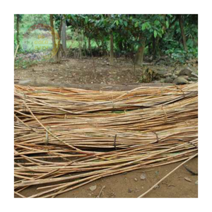 Élégante tige en rotin naturel-un accent traditionnel pour la mode et le soutien - Product Image 5