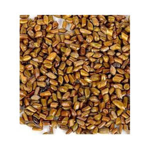 เมล็ด Cassia Tora ธรรมชาติ 100% คุณภาพสูงผลิตในราคาขายส่ง - Product Image 1