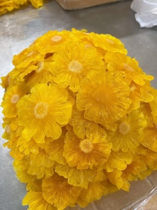 LE VIETNAM EXPORTE DE GRANDES QUANTITÉS D'ANANAS SÉCHÉS DE QUALITÉ SUPÉRIEURE À DES PRIX COMPÉTITIFS - Product Image 2