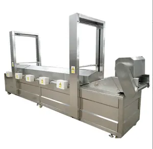 Industrial continuous delivery of chicken peanut continuous frying machine fired chicken machine