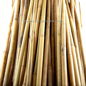 เสาไม้ไผ่สำหรับวัตถุดิบส่งออกโดยตรงจากโรงงานเวียดนาม - Product Image 4