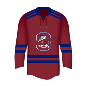 Maillot de hockey sur glace personnalisable avec nom d'équipe - 100% polyester anti-UV et séchage rapide, unisexe, adulte - Product Image 1
