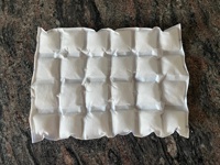 ICEPACK XL Hidratable Plástico Acumulador Frío Cuadrado Icepack para Alimentos Producto Temperatura Mantenimiento iberopack