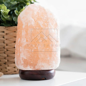 Lámpara de Sal del Himalaya de Alta Calidad en Oferta - Precio de Mayoreo, Material 100% Puro, Hecho a Mano, Tamaño y Diseño Personalizables, Tacto Real - Product Image 4