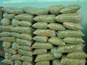 Banane séchée Copeaux de bananes frites sous vide dorées du Vietnam Banane séchée pour les acheteurs internationaux et l'emballage au détail - Product Image 6