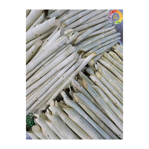 Materias primas frescas, caña de azúcar congelada con o sin cáscara, calidad de exportación, productos naturales de caña de azúcar - Product Image 4