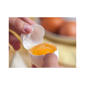 เจลตีไข่แดง Hongda สำหรับทำลูกกวาดผลิตภัณฑ์ไข่ระดับพรีเมี่ยม - Product Image 2