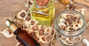 Exportación de aceite a granel de la India, Moringa - Product Image 5