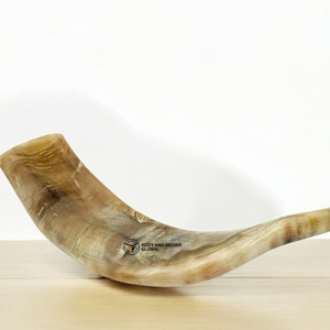 Cuerno de carnero natural, acento decorativo, cuerno de shofar pulido hecho a mano para decoración del hogar y coleccionistas - Product Image 4