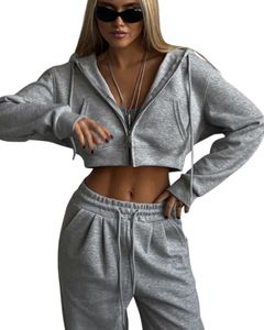 Customized <b>Women</b> <b>Grey</b> Crop <b>Zip</b> <b>Hoodie</b> Casual Long Sleeve Hooded Sweatshirt With Front Zipper Rib Cuff Fashion Winter Wear Top - Product Image 1