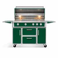 Barbecue à gaz vert émeraude sur chariot en acier inoxydable avec armoire de rangement et roues